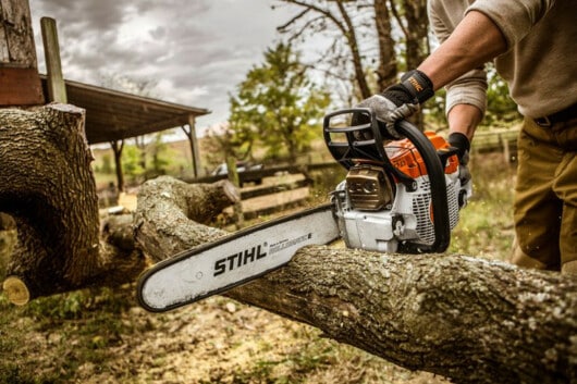 professional logger cutting trees