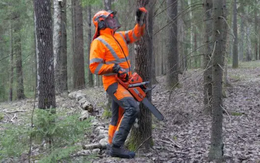 professional logger in forest wearing chainsaw pants while holding chainsaw