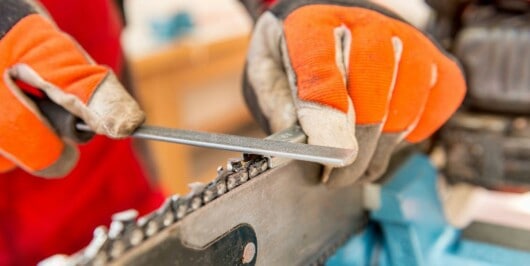 How Often Should I Sharpen My Chainsaw 6 professional logger sharpening chainsaw