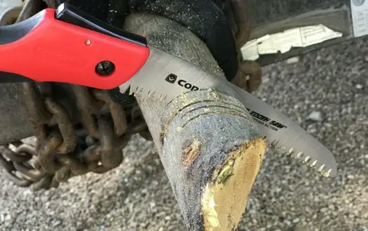 Can You Use A Chainsaw On A Ladder? 13 pruning saw