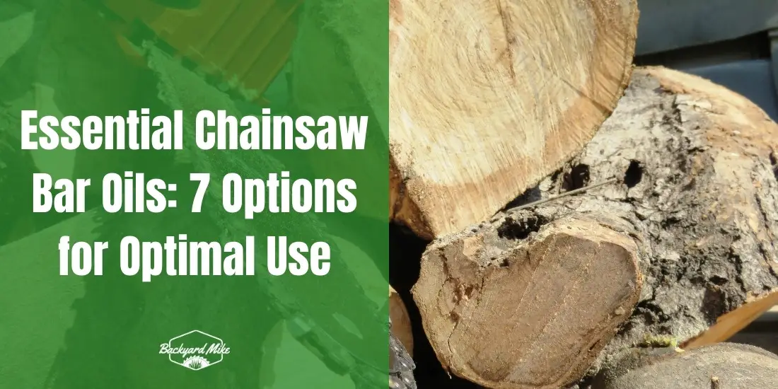 what chainsaw bar oil to use