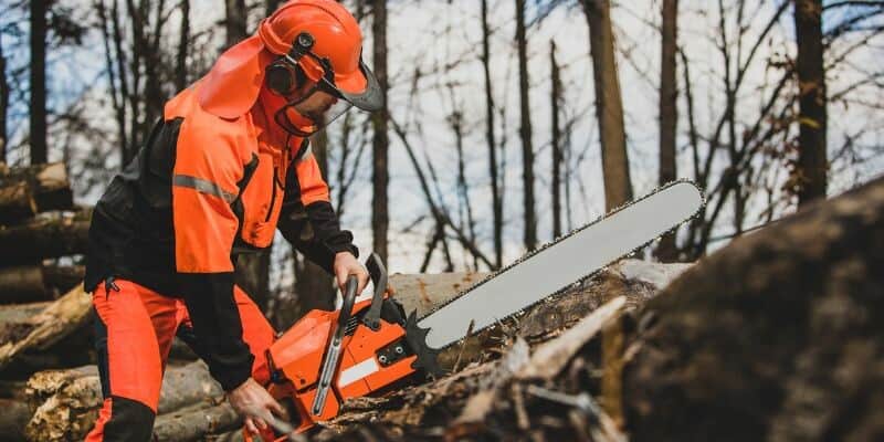 what chainsaw do professional loggers use