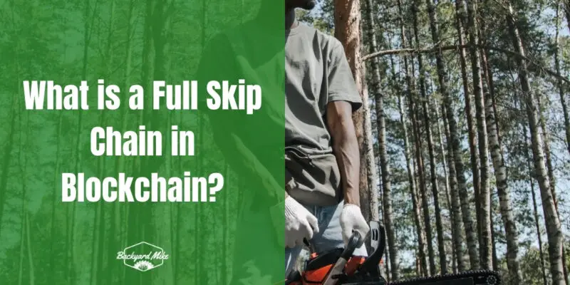 what is a full skip chain