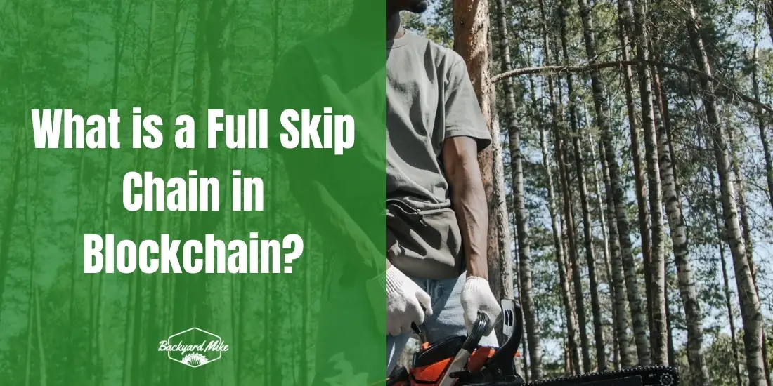 What Is a Full Skip Chain in Blockchain? 18 what is a full skip chain