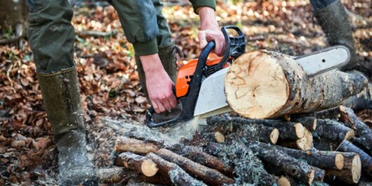 professional logger cutting logs using a brushless chainsaw