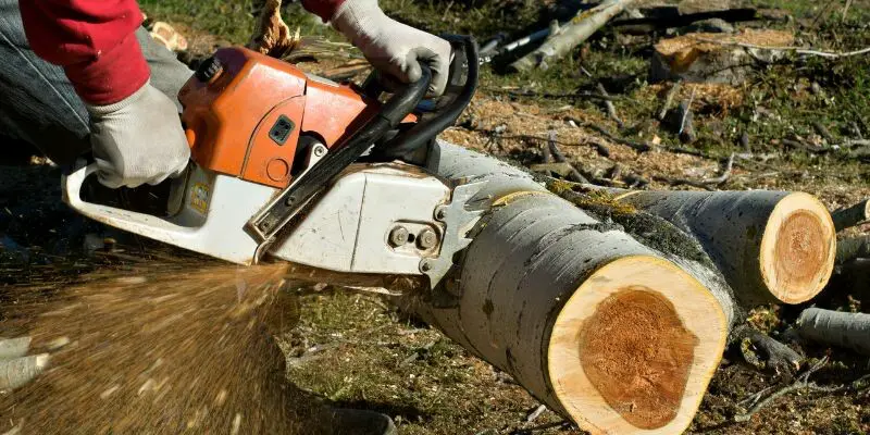 what is chainsaw used for
