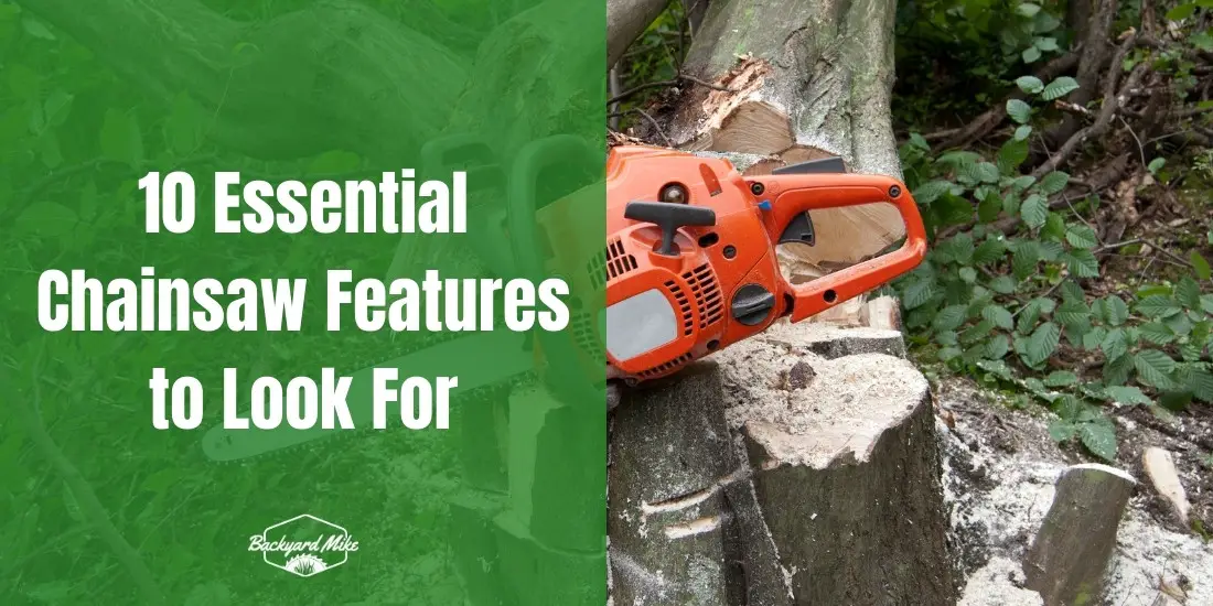 what to look for in a chainsaw