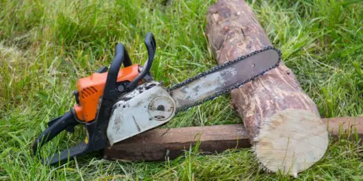 Why Does Your Chainsaw Bogs Down When You Give It a Gas 3 resting chainsaw and log