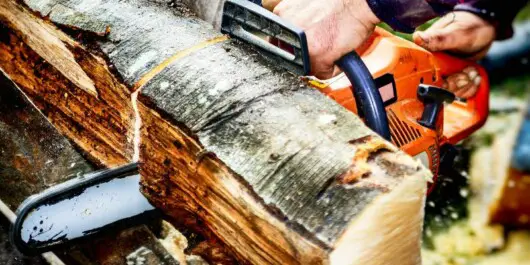 Why Does My Chainsaw Cut Crooked? | Backyard Mike