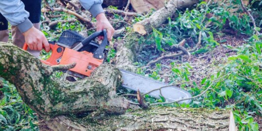 A person cutting a tree using a chainsaw with smoke