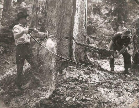 why were chainsaws made - old picture, felling tree with 2 men chain saw