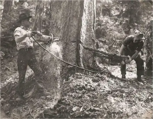 Why Were Chainsaws Made? Exploring the History and Purpose of Chainsaws 4 why were chainsaws made - old picture, felling tree with 2 men chain saw