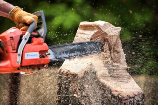 why were chainsaws made - chainsaw on a tree trunk